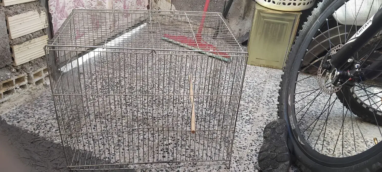 قفس درحدنو مناسب برای تمامی پرنده ها قیمت۲۴۰|لوازم جانبی حیوانات|دوگنبدان, |دیوار