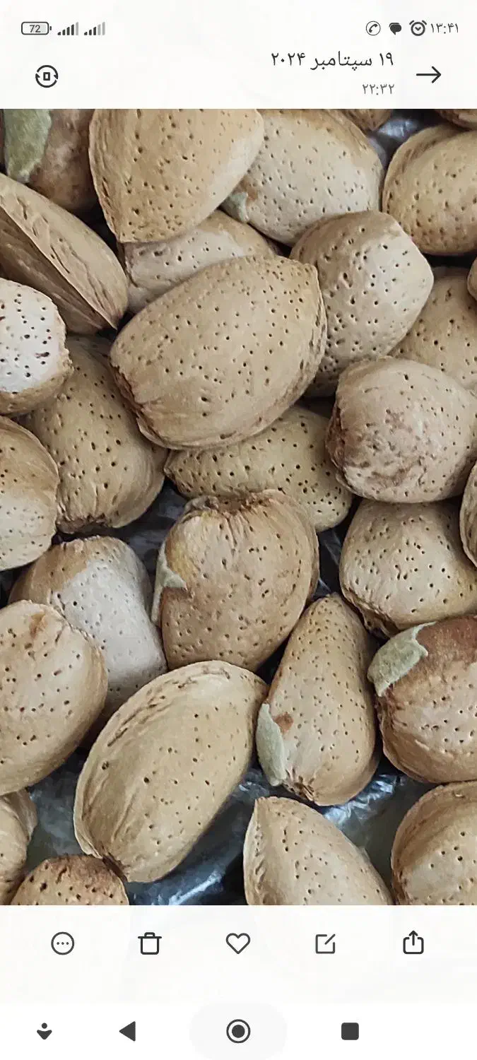 فروش انواع نهال اصلاح شده پیوندی|خدمات باغبانی و درختکاری|خسروشاه, |دیوار