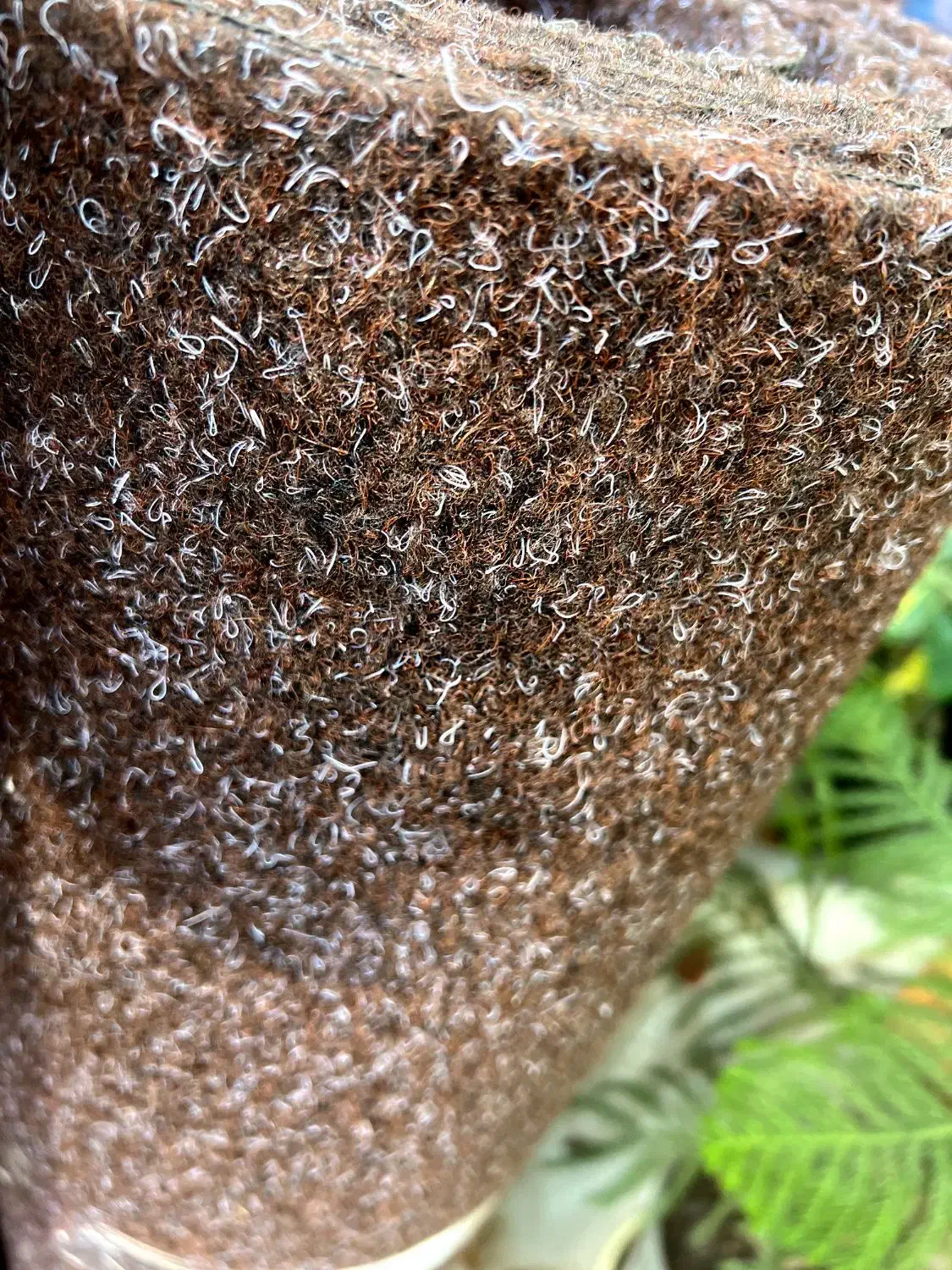 پادری اسفنجی و اسکاچی|پادری|گرگان, |دیوار