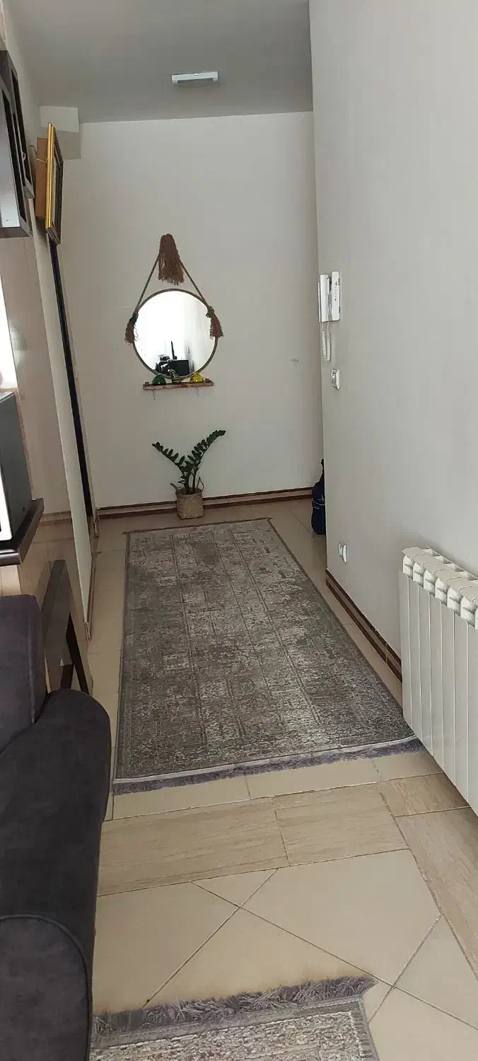 فرش ۹ متری نو نو همراه فرش راهرو ۳ متر نو نو|فرش|برخوار, |دیوار