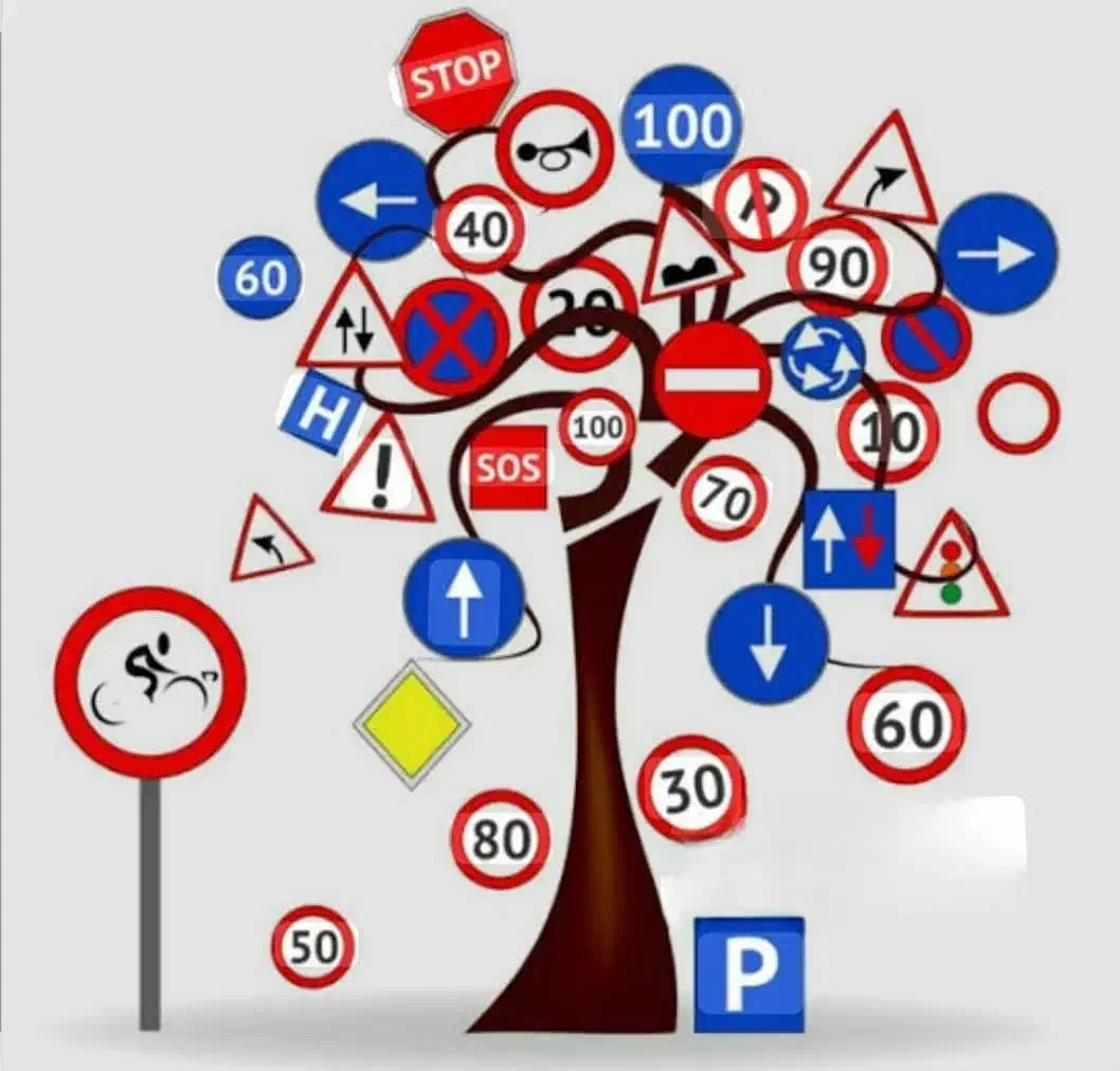 آموزش تخصصی در فردیس و حومه مخصوص بانوان|خدمات آموزشی|فردیس, فرامرزیه|دیوار