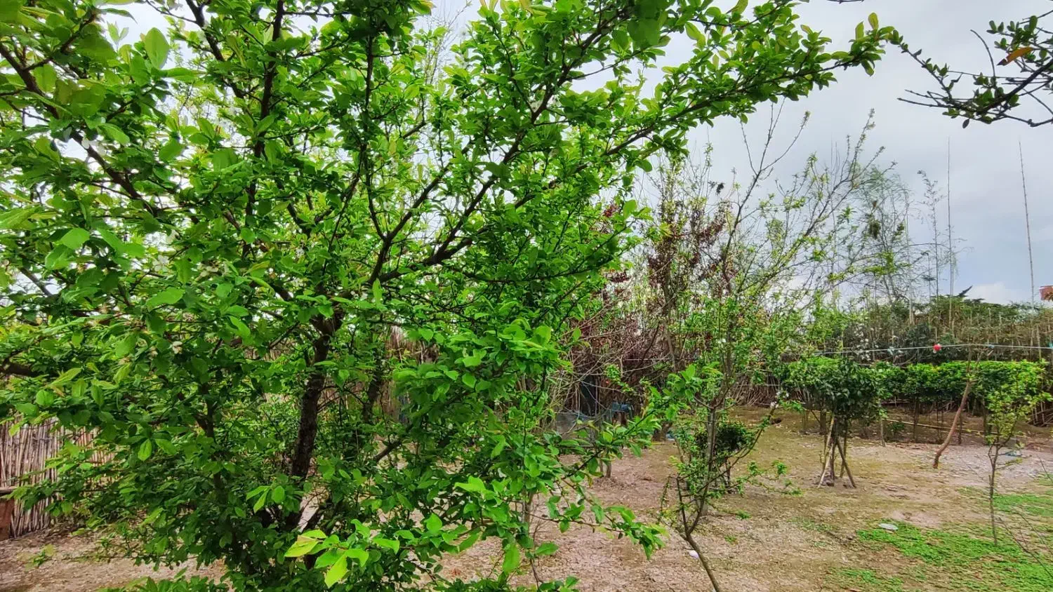 خانه ویلایی|فروش خانه و ویلا|سنگر, |دیوار