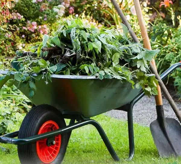 نگهبان باغ و باغبان، جویای کار با اسکان در محل|خدمات باغبانی و درختکاری|شیراز, اصلاح‌نژاد|دیوار