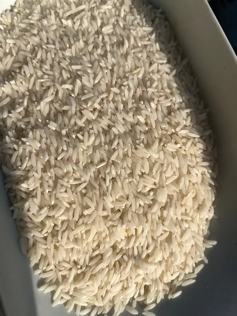 برنج طارم هاشمی گیلان|خوردنی و آشامیدنی|رشت, لاکان شهر|دیوار