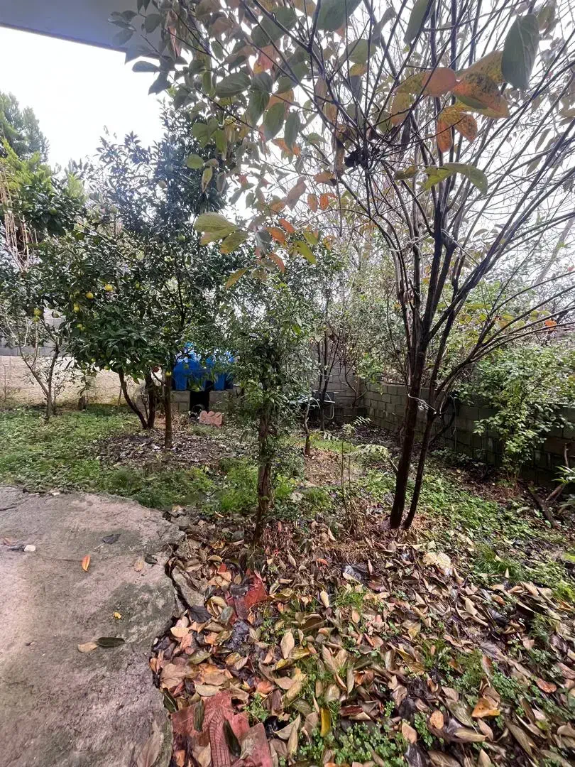 زمین ۳۰۰ متری فروشی عباس آباد|فروش زمین و ملک کلنگی|عباسآباد, |دیوار