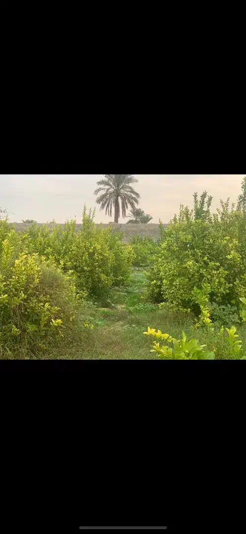 باغشهری  ۷۰۰ متری سند ثبت|فروش زمین و ملک کلنگی|آبپخش, |دیوار