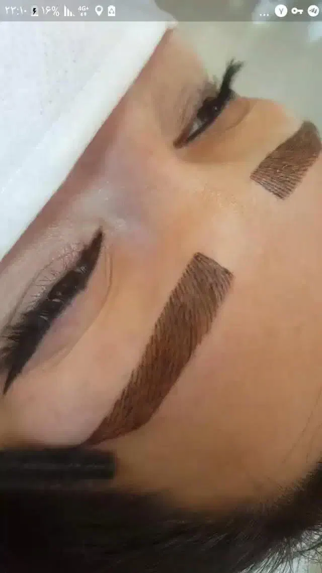 خدمات تتو صورت وبدن|خدمات آرایشگری و زیبایی|اردبیل, |دیوار