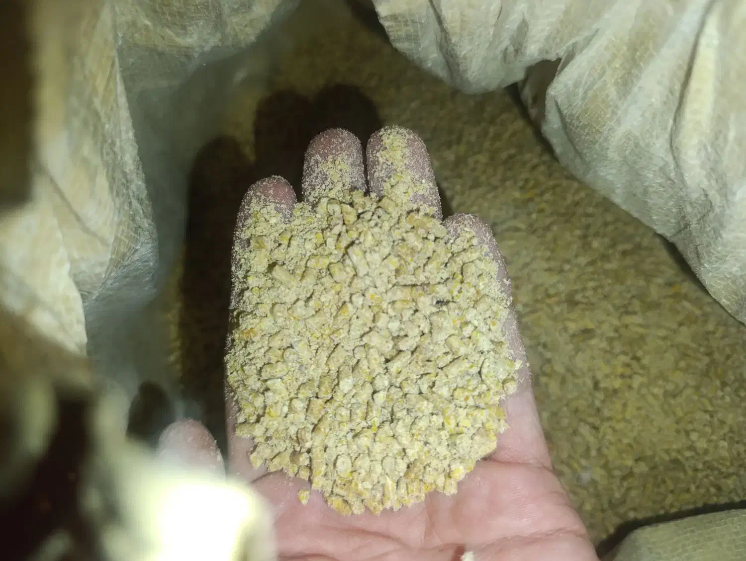 خوراک یا دانه مرغ|حیوانات مزرعه|مشهد, چهارچشمه|دیوار