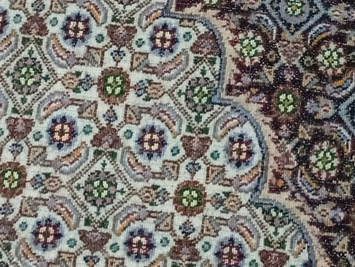 فرش دستباف|فرش|بیرجند, |دیوار