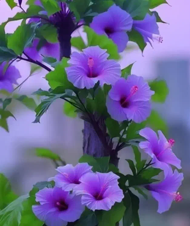 پرستار سالمند|استخدام درمانی، زیبایی، بهداشتی|تهران, قناتکوثر|دیوار