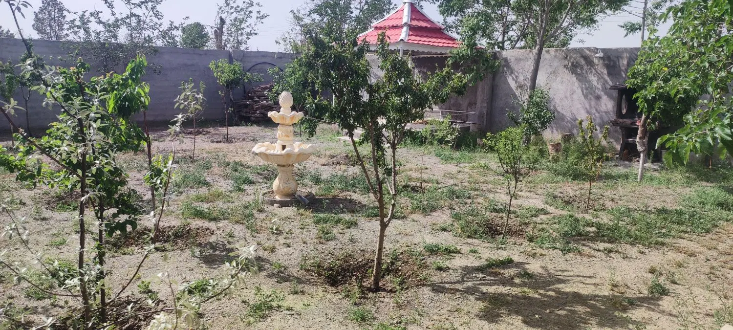 تصویر 3