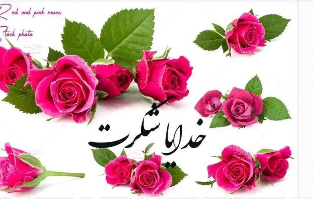 آموزش پایه ابتدایی|خدمات آموزشی|مشگین شهر, |دیوار