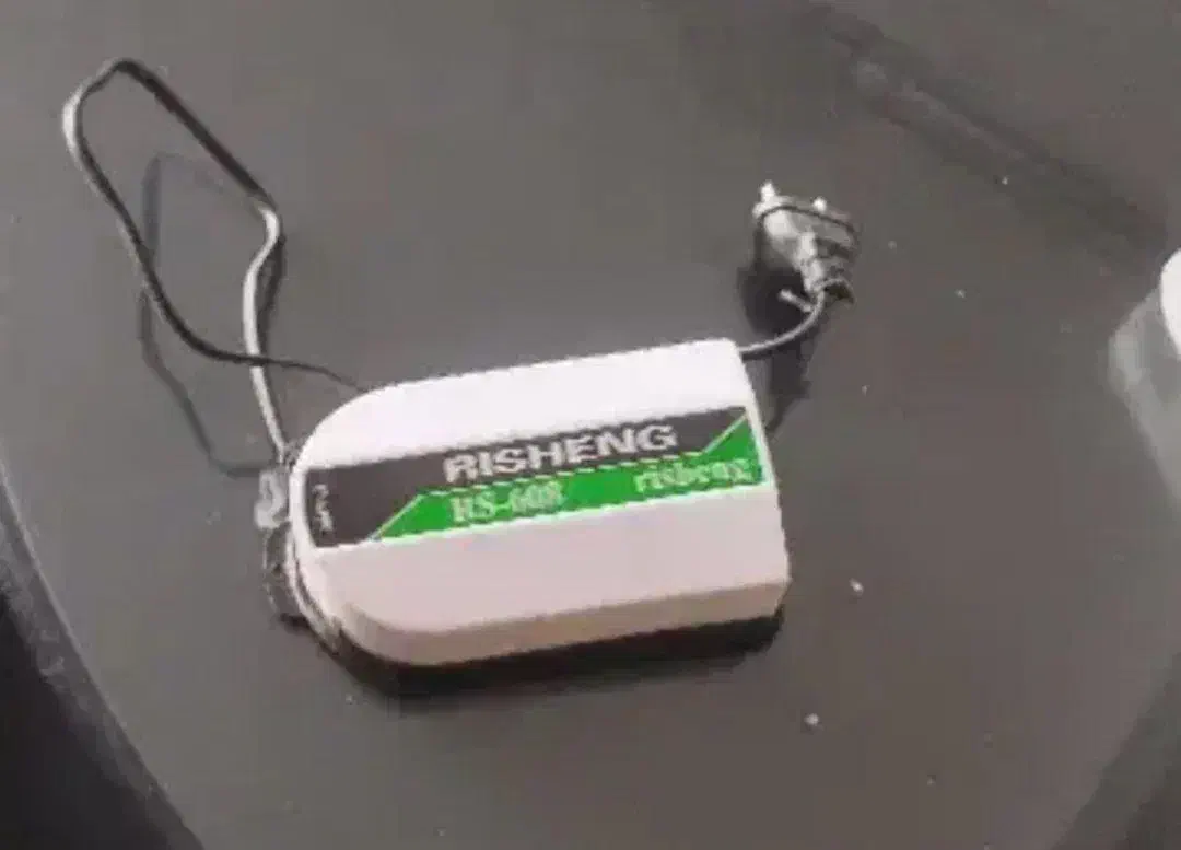 اکواریوم|ماهی|تربت‌حیدریه, حیدرآباد|دیوار