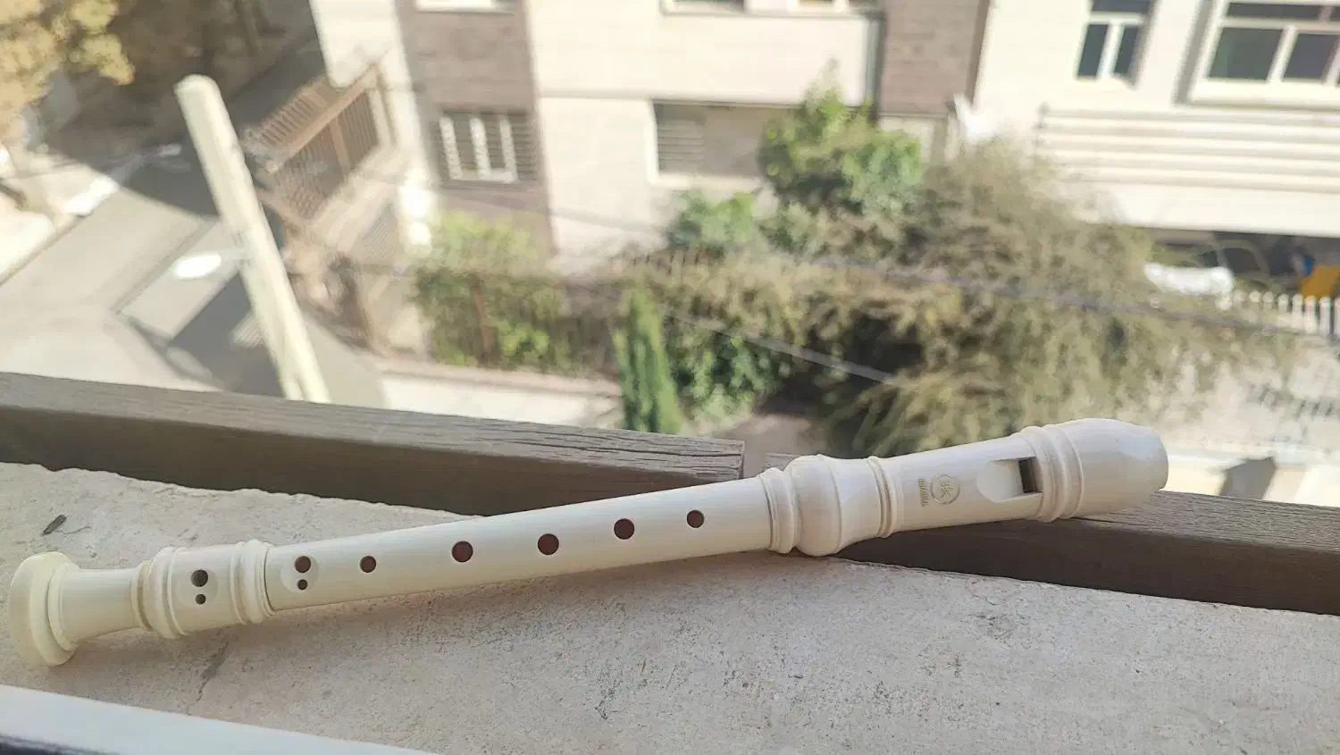 فلوت یاماها اندونزی اصلی|سازهای بادی|شیراز, فرهنگ شهر|دیوار