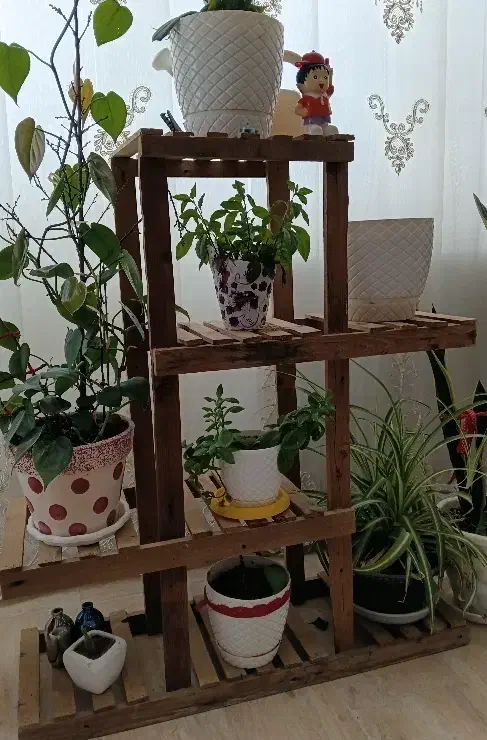 پایه گل|کتابخانه، شلف، قفسه‌های دیواری|بیرجند, |دیوار