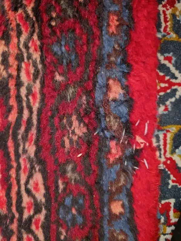 ۶دستباف ۶ مترییس|فرش|همدان, |دیوار