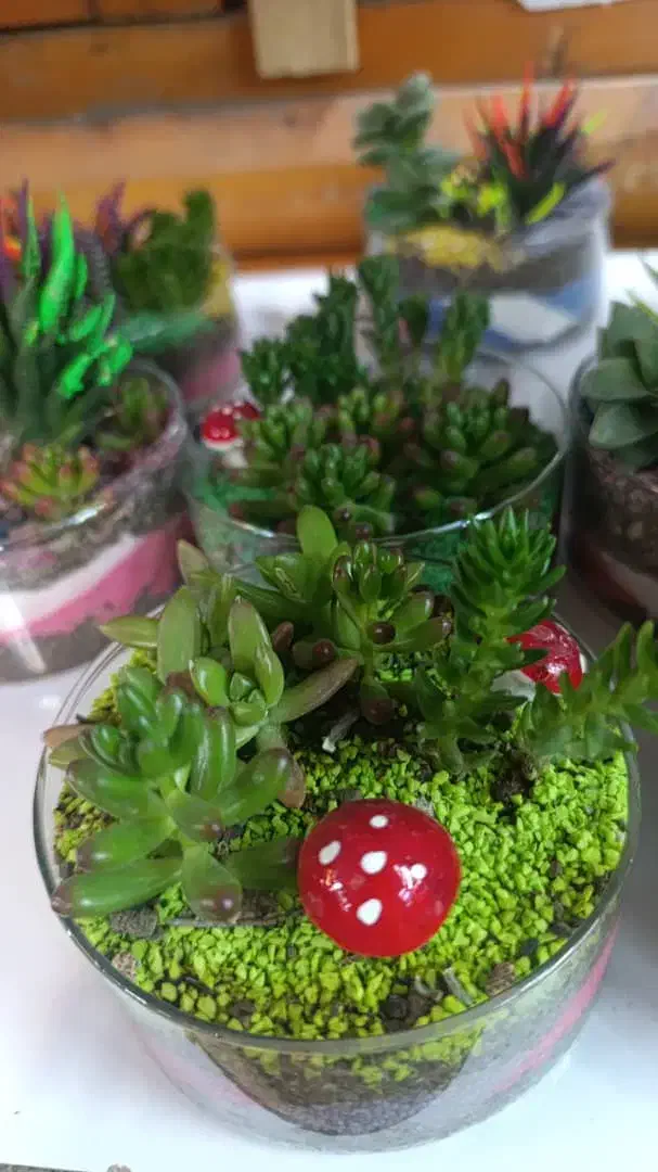 انواع گل طبیعی|گل و گیاه طبیعی|اصفهان, دنارت|دیوار