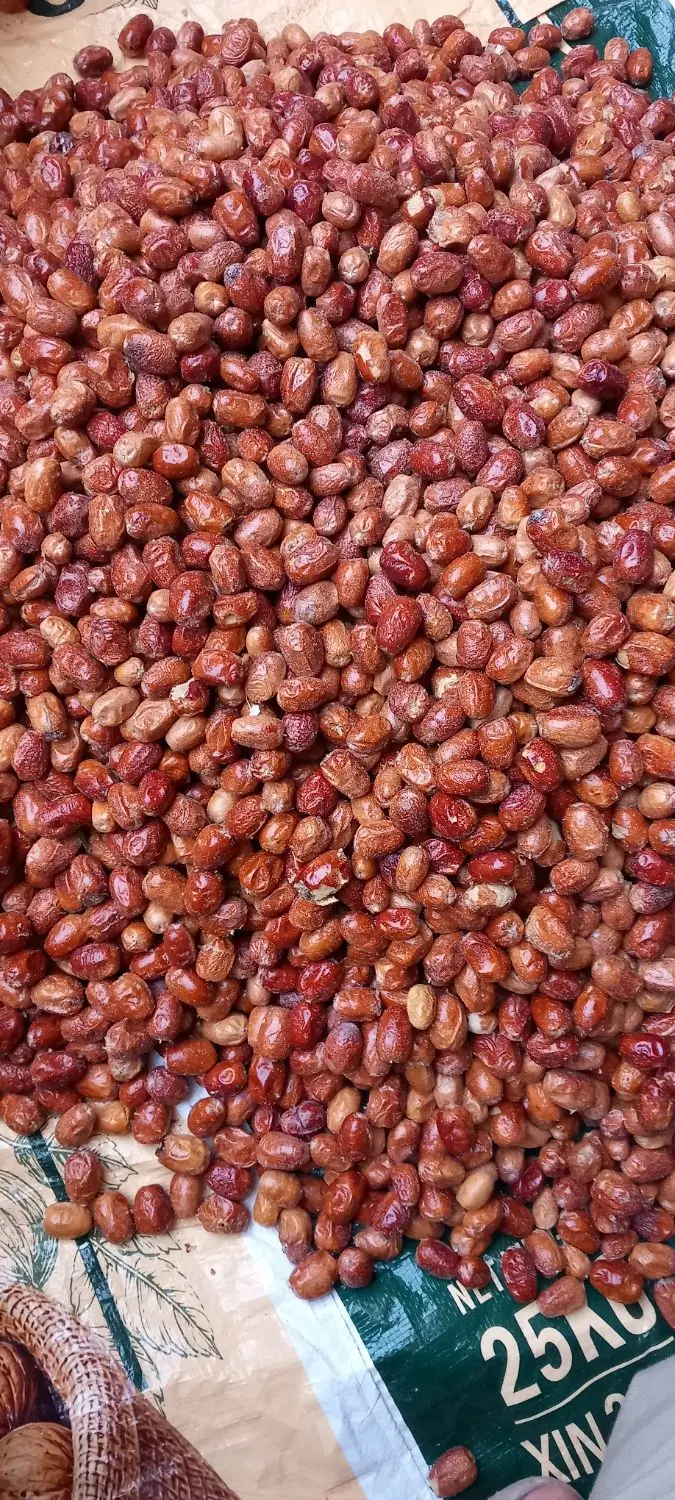 سنجد|خوردنی و آشامیدنی|مشهد, گرجی علیا|دیوار