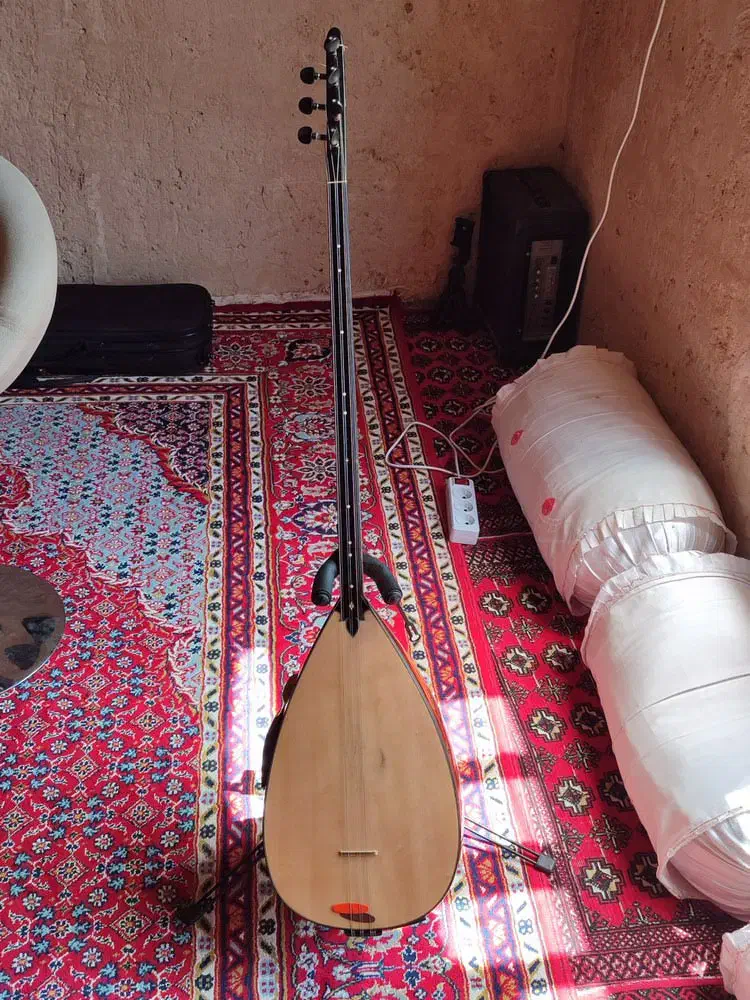 باغلاما حرفه ای دسته بلند|سازهای سنتی|شیراز, وصال|دیوار