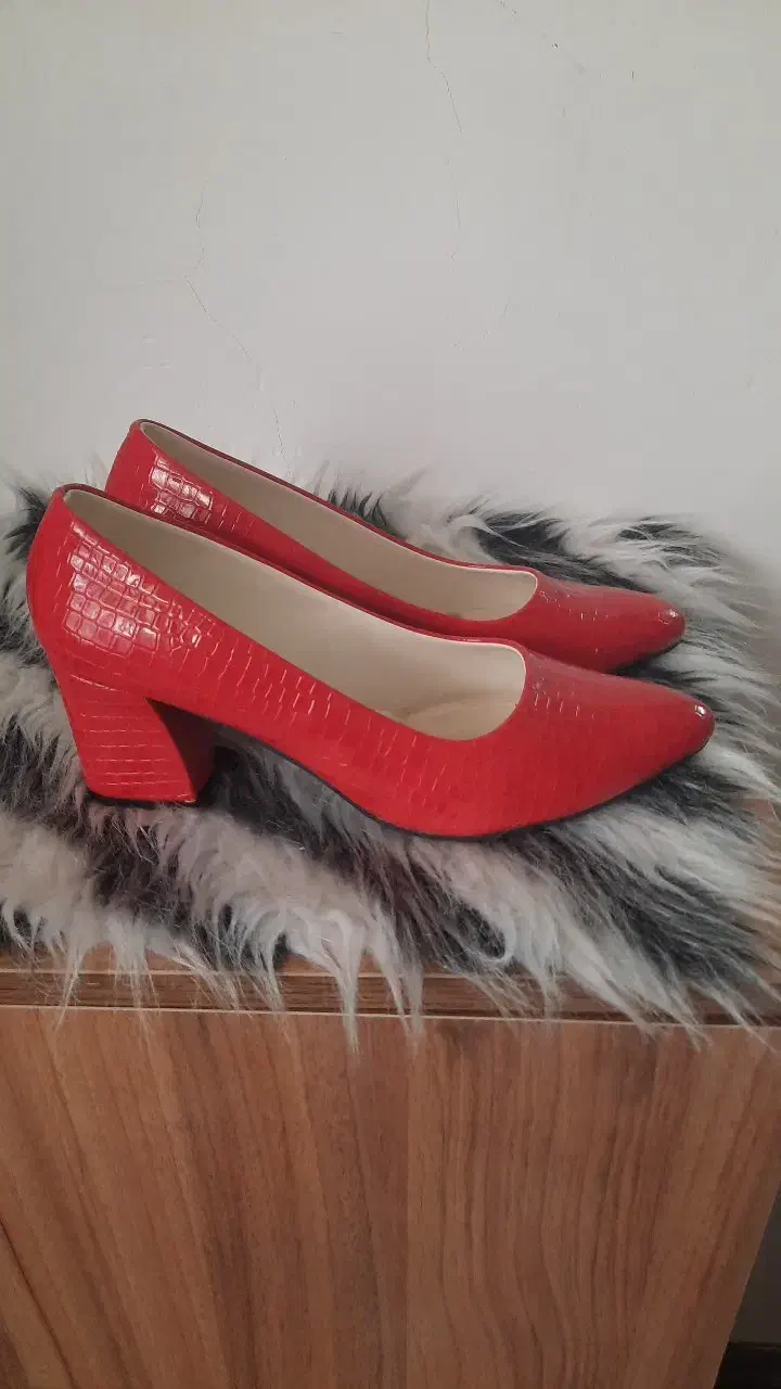 کفش مجلسی|کیف، کفش، کمربند|گنبد کاووس, |دیوار