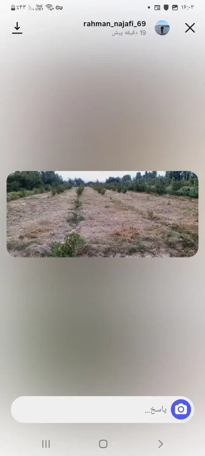 فروش باغ شلیل|فروش دفتر صنعتی، کشاورزی، تجاری|مشگین شهر, |دیوار