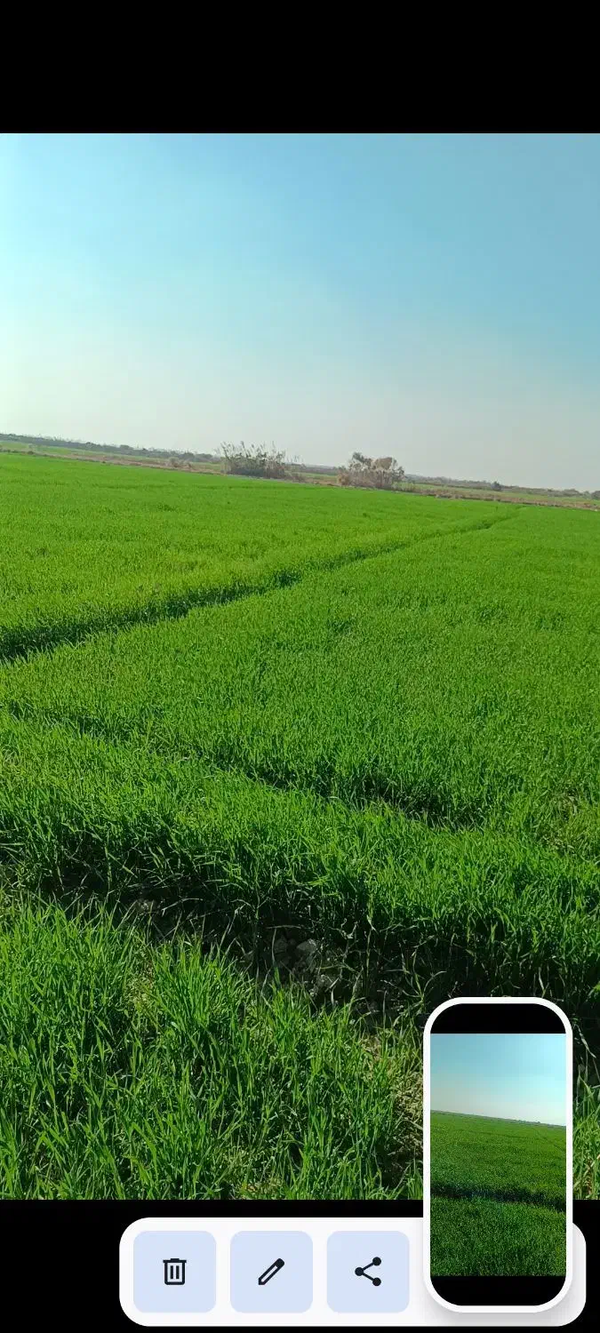 زمین کشاورزی واقع در شادگان|فروش دفتر صنعتی، کشاورزی، تجاری|شادگان, |دیوار