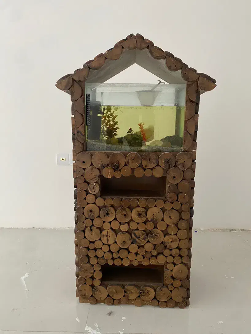 اکواریوم|ماهی|محمدیه-قزوین, |دیوار