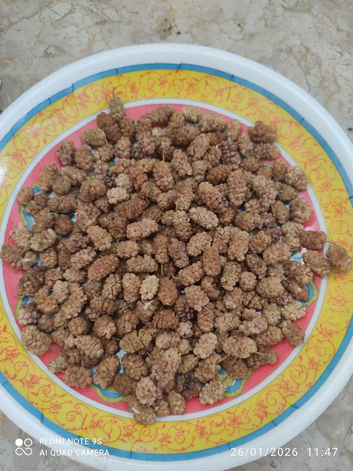 توت خشک|خوردنی و آشامیدنی|یزد, |دیوار