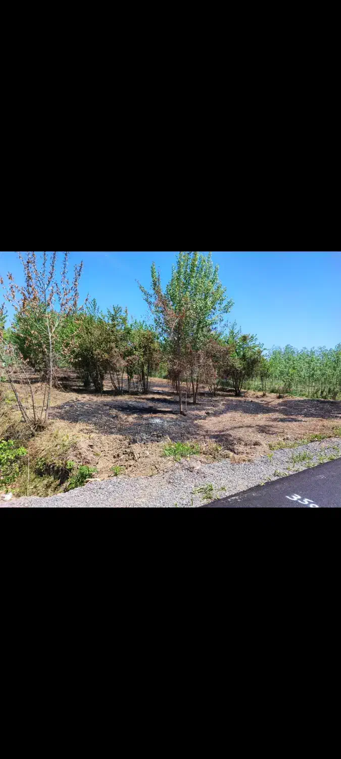 فروش زمین داخل طرح|فروش زمین و ملک کلنگی|رودبنه, |دیوار