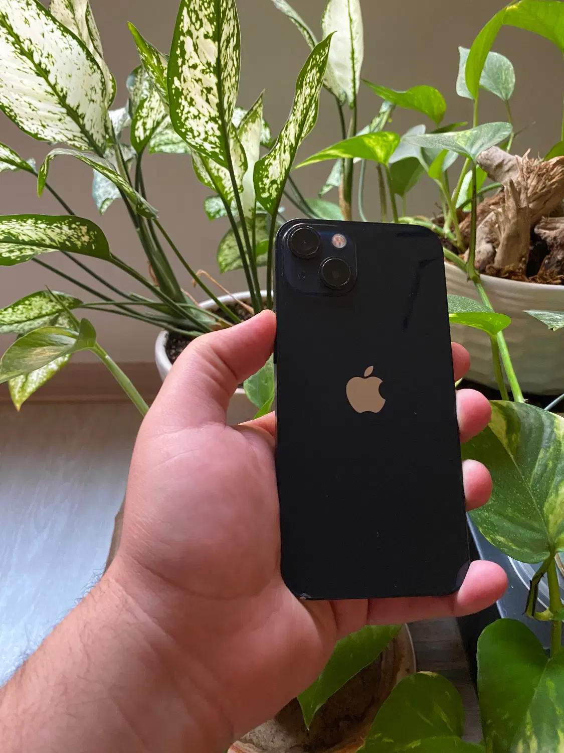 iPhone 13 Normal|موبایل|تبریز, |دیوار