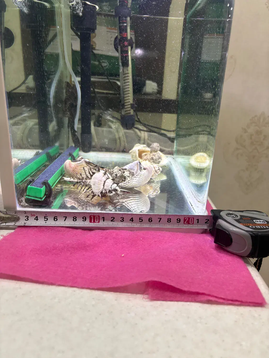 آکواریوم|ماهی|سبزوار, فرهنگیان|دیوار