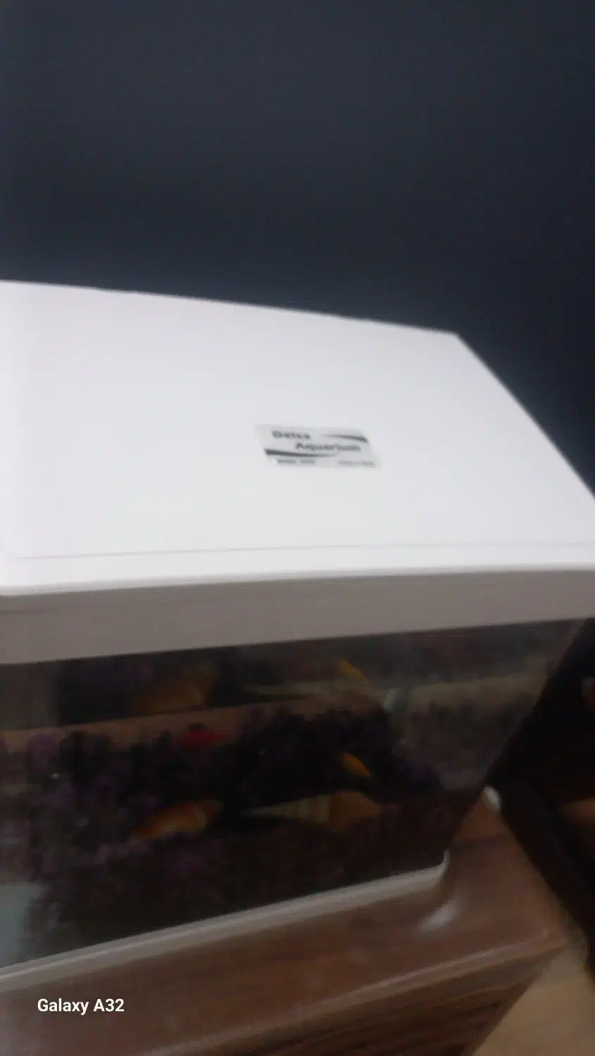 آکواریم دلسا|ماهی|اراک, |دیوار