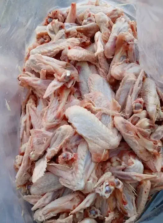 اسکلت مرغ بال مرغ مناسب غذای سگ|لوازم جانبی حیوانات|ماهدشت, |دیوار