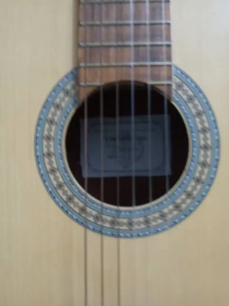 گیتار درحدنو|گیتار، بیس، امپلیفایر|شیراز, حومه شیراز|دیوار