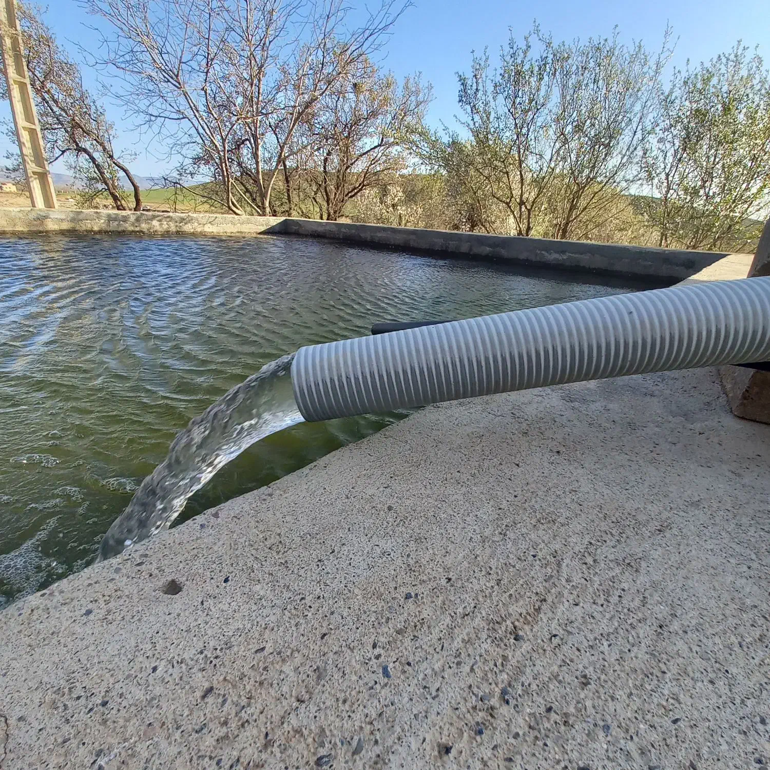 فروش زمین کشاورزی صنعتی دامداری|فروش دفتر صنعتی، کشاورزی، تجاری|تویسرکان, |دیوار