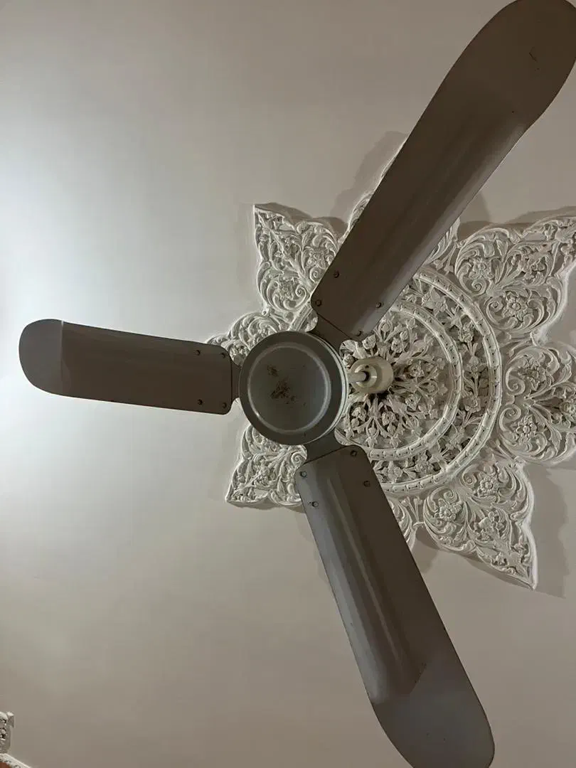 2 عدد پنکه سقفی|پنکه و تصفیهکنندهٔ هوا|اهواز, ۳۰ متری|دیوار