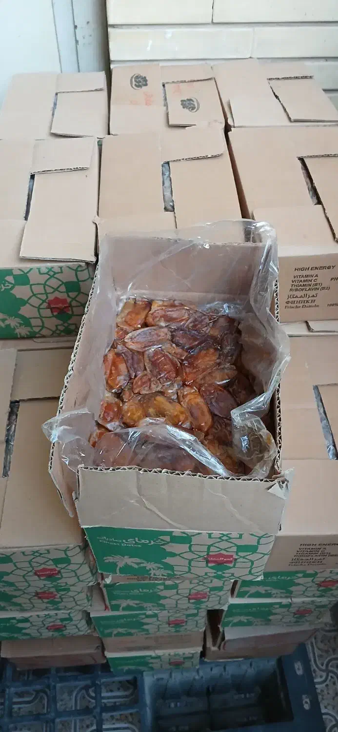 خرمای شاهانی خاوران(خونه کهدون)|خوردنی و آشامیدنی|مرودشت, فرهنگ|دیوار