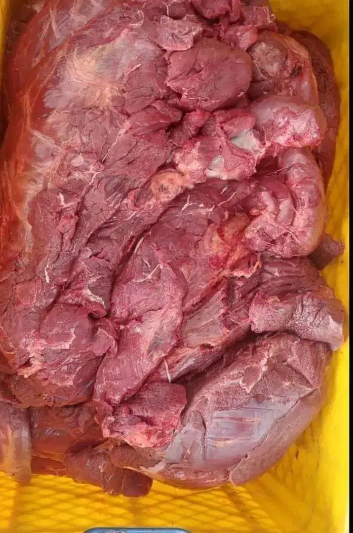 گوشت گوساله گوسفند گرم و منجمد|خوردنی و آشامیدنی|تهران, تهرانسر مرکزی|دیوار