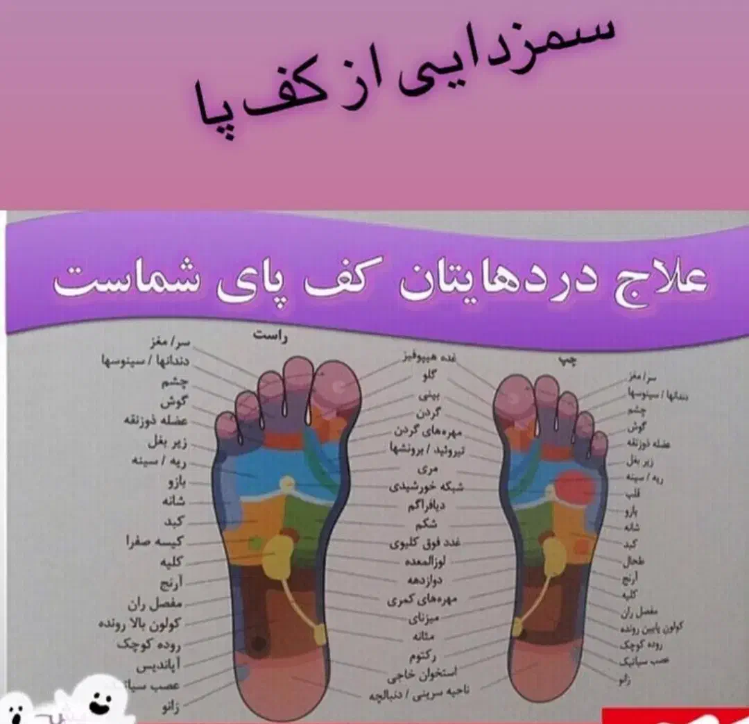 پاکسازی سموم بدن (یونتراپی)|خدمات آرایشگری و زیبایی|شیراز, ریشمک|دیوار