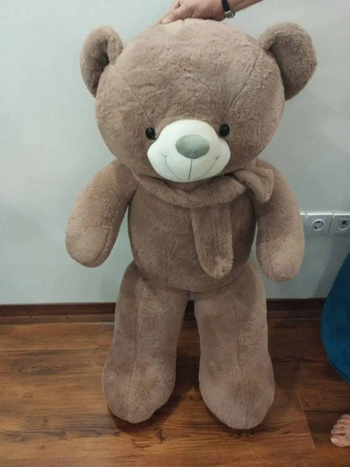 خرس ولنتاین|اسباب‌بازی بچه|تهران, حکیمیه|دیوار