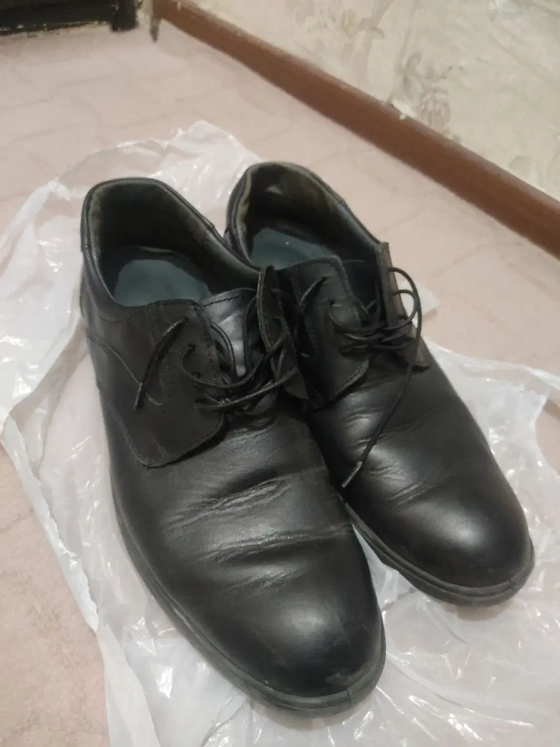 چرم اصل|کیف، کفش، کمربند|زنجان, |دیوار