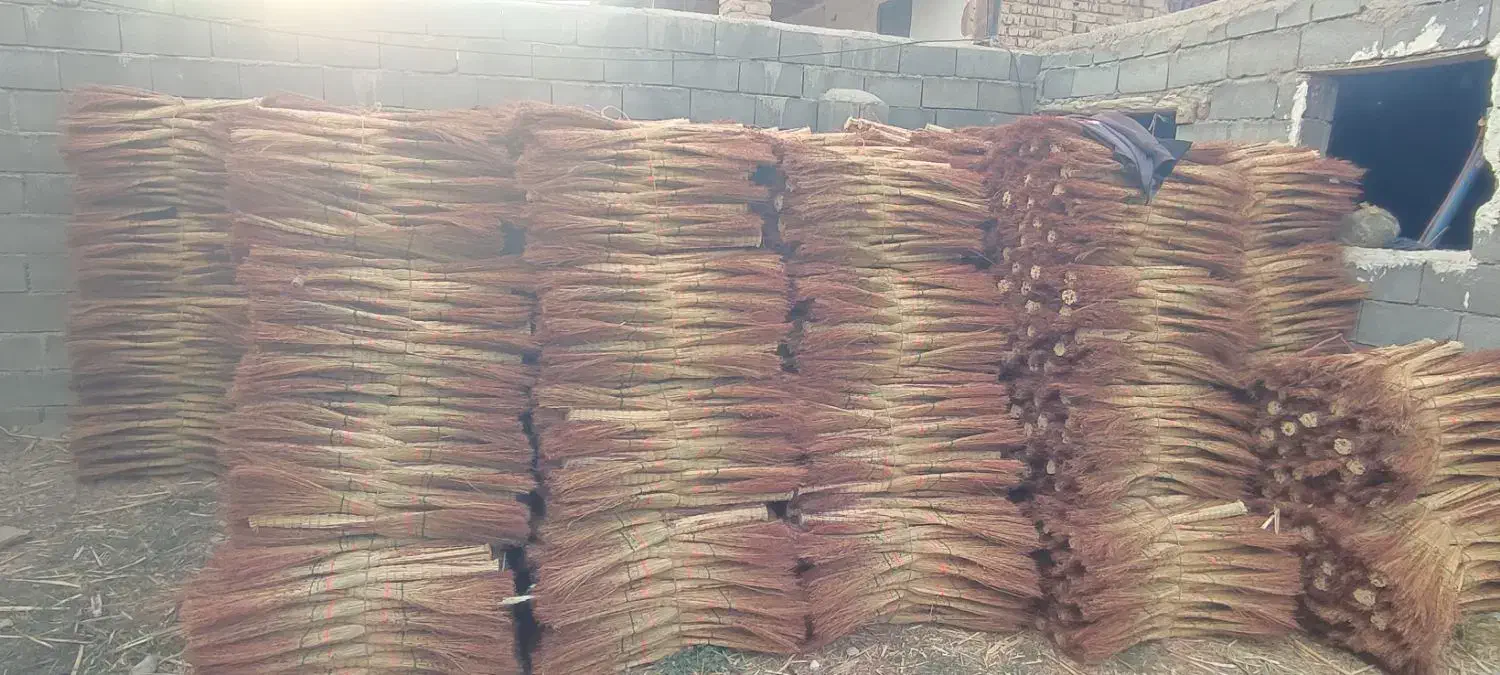 جارو شهری|لوازم نظافت|لاهیجان, قیام|دیوار