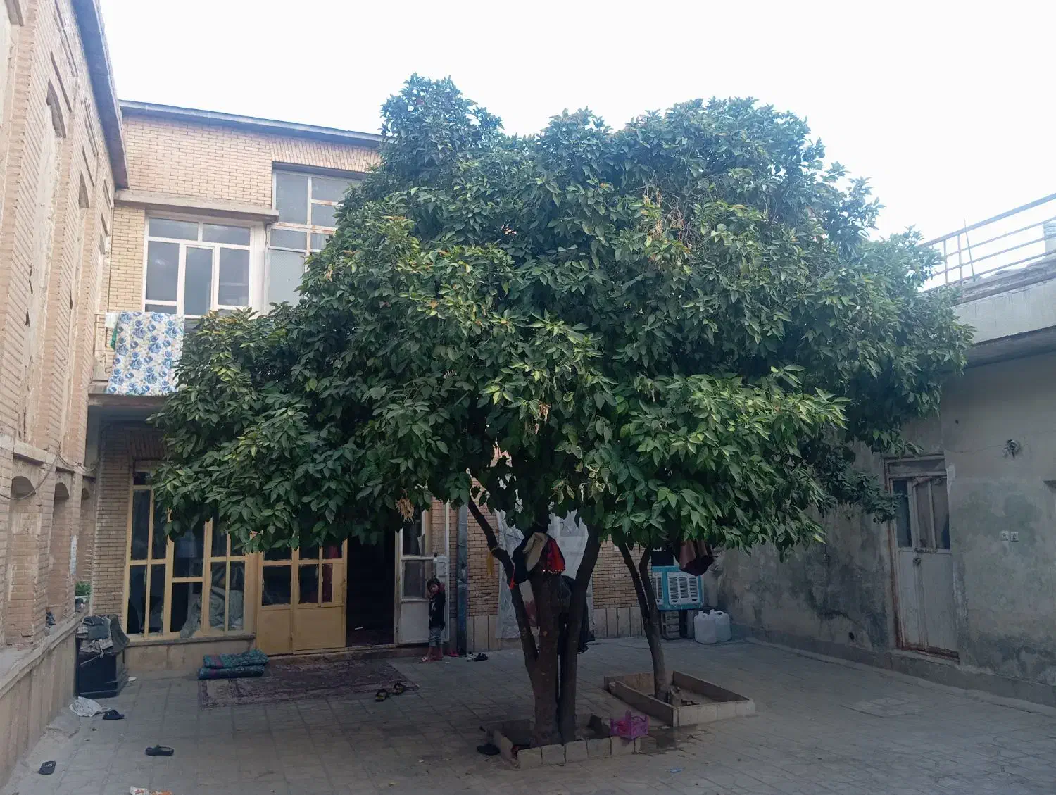 اتاق رهن اجاره|اجارهٔ خانه و ویلا|شیراز, لب آب|دیوار