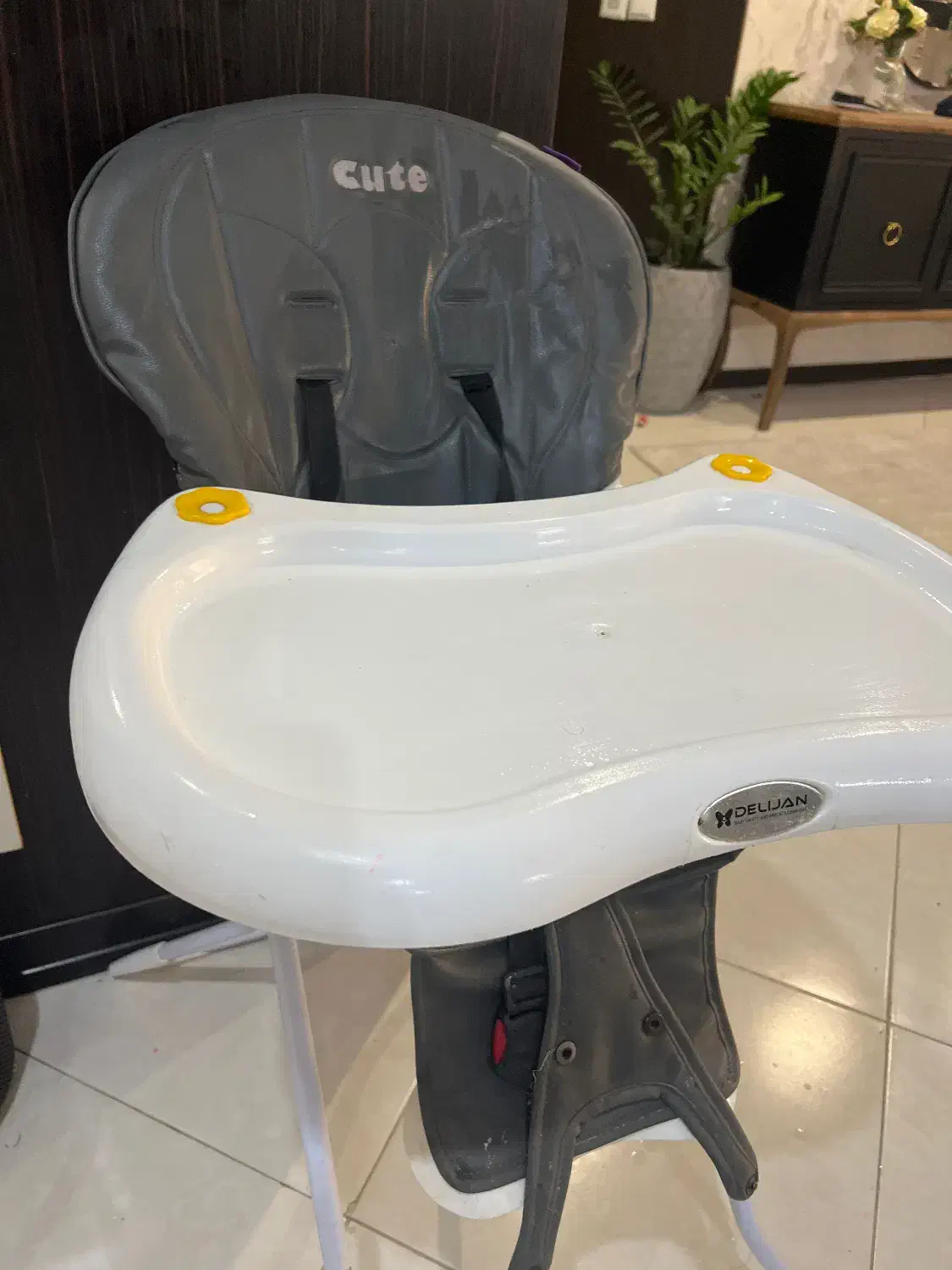 میز وصندلی غذای کودک|میز و صندلی غذاخوری|بجنورد, |دیوار