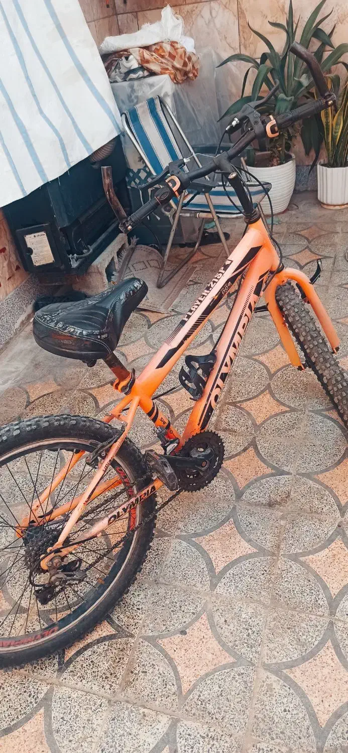 دوچرخه المپیا|دوچرخه، اسکیت، اسکوتر|دوگنبدان, |دیوار