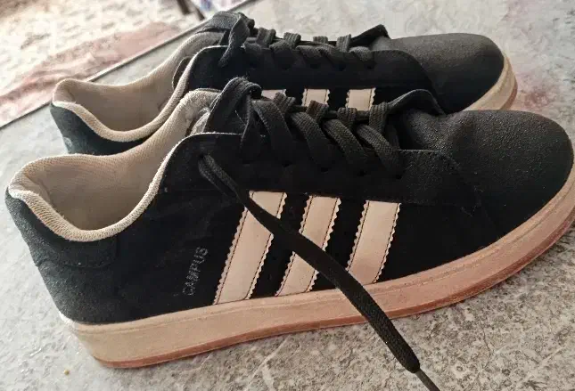 کفش اسپرت|کیف، کفش، کمربند|بیرجند, |دیوار