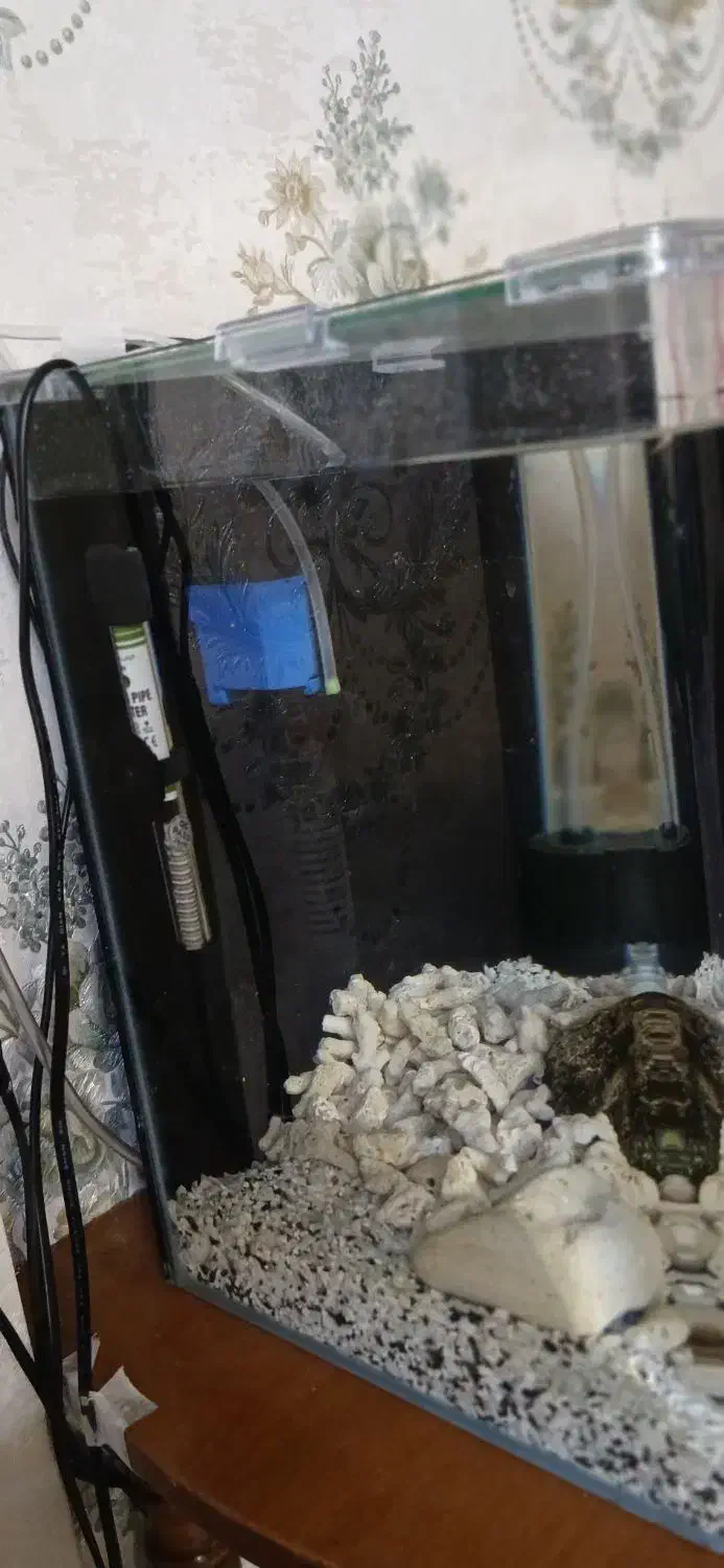 آکواریوم اکواریوم ۳بعدی شیک|ماهی|مشهد, سرافرازان|دیوار