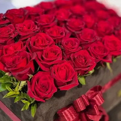 گل زیبا|گل و گیاه طبیعی|مرند, |دیوار