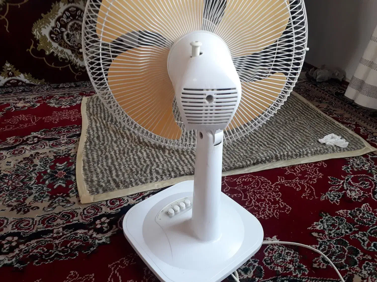 پنکه SUNNY|پنکه و تصفیه‌کنندهٔ هوا|رودسر, |دیوار