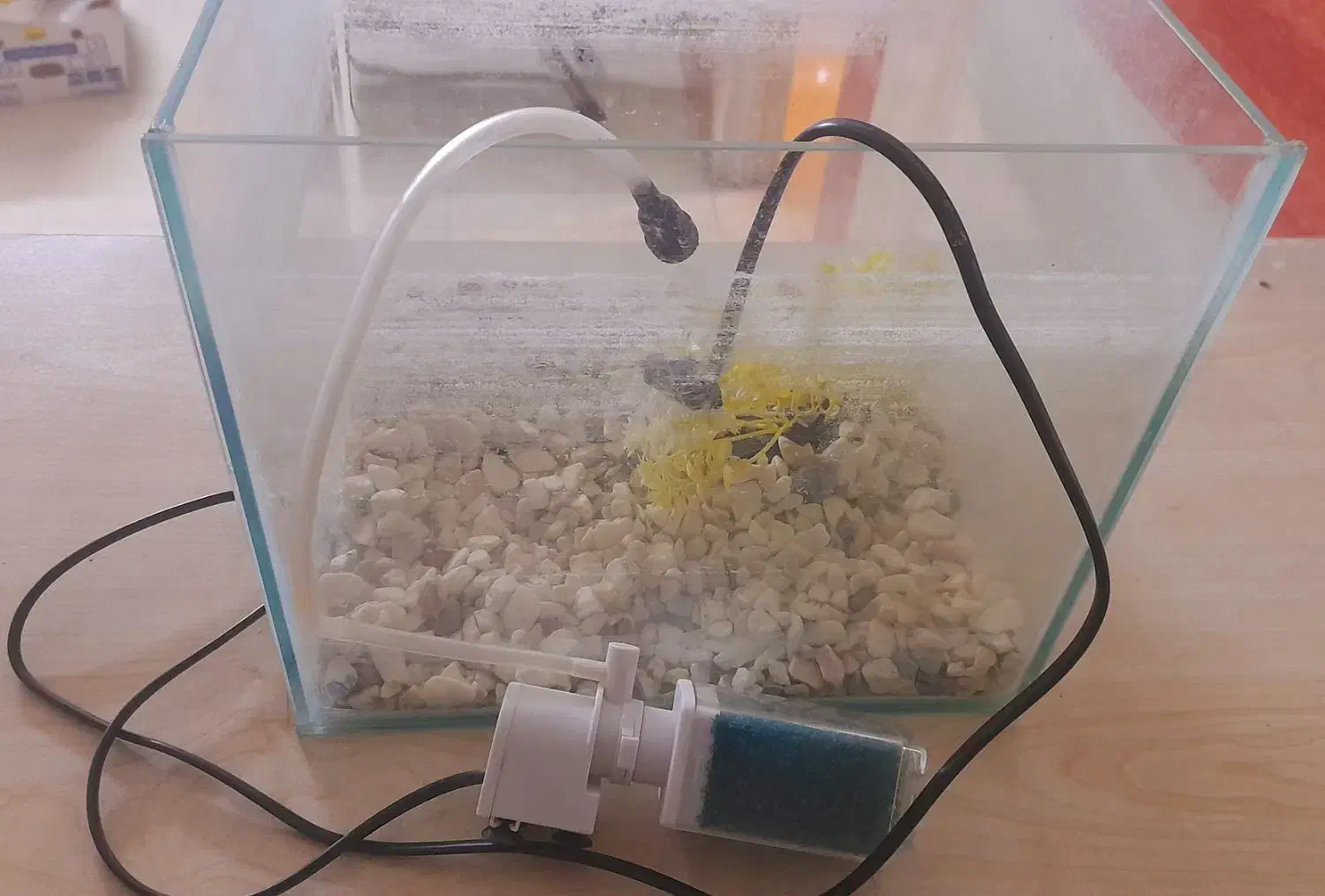 آکواریوم|ماهی|نسیم‌شهر, |دیوار